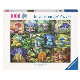 Puzzle 1000 pièces...