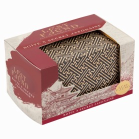 Casse-tête Boîte à Secrets...