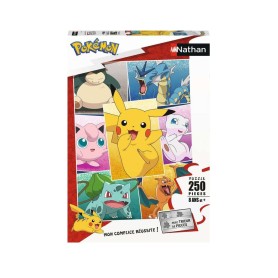 Puzzle Types Pokémon 250...